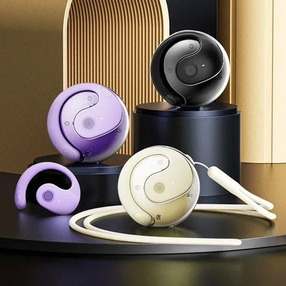 Wireless Bluetooth Ear Hook Earbuds