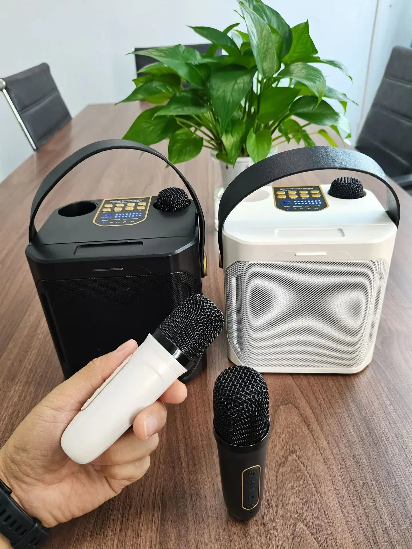 Karaoke Bluetooth Speaker with Dual Microphone