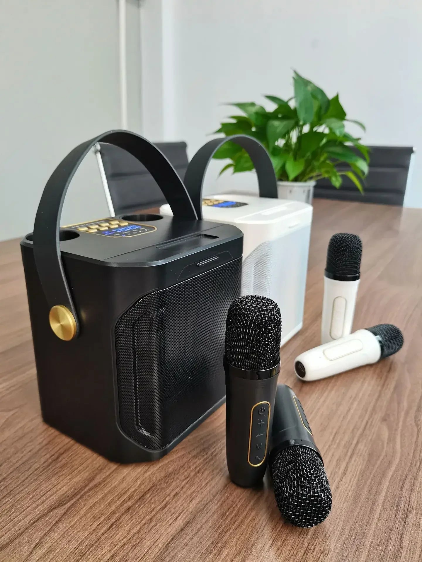 Karaoke Bluetooth Speaker with Dual Microphone
