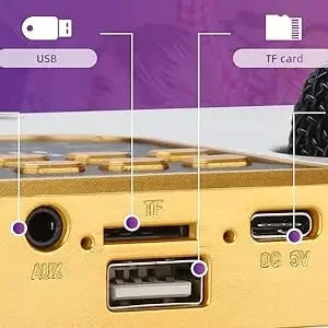 Karaoke Bluetooth Speaker with Dual Microphone