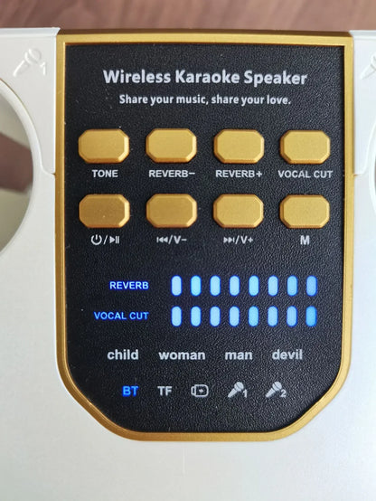 Karaoke Bluetooth Speaker with Dual Microphone